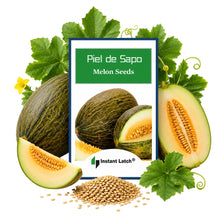 Load image into Gallery viewer, Piel de Sapo Melon Seeds | NON-GMO | Heirloom | Fresh Garden Seeds