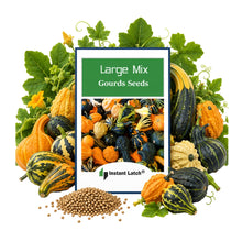 Load image into Gallery viewer, Large Mix Gourd Seeds | NON-GMO | Heirloom | Fresh Garden Seeds