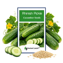 Load image into Gallery viewer, Rhinish Pickle Cucumber Seeds for Planting NON-GMO Heirloom Fresh Garden Seeds