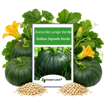 Load image into Gallery viewer, Italian Squash Zucca De Lungo Verde Seeds for Planting NON-GMO Fresh Garden Seeds