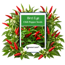 Load image into Gallery viewer, Birdseye Chili Pepper Seeds for Planting NON-GMO Heirloom Fresh Garden Seeds