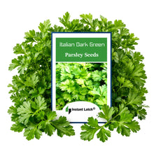 Load image into Gallery viewer, Italian Parsley Dark Green Flat Leaf Seeds for Planting NON-GMO Fresh Garden Seeds
