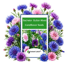 Load image into Gallery viewer, Bachelor Button Cornflower Mixed Seeds for Planting NON-GMO Heirloom Fresh Garden Seeds