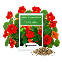 Load image into Gallery viewer, Empress of India Nasturtium Flower Seeds for Planting NON-GMO Fresh Flower Seeds