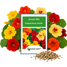 Load image into Gallery viewer, Jewel Mix Nasturtium Seeds for Planting NON-GMO Heirloom Fresh Flower Seeds