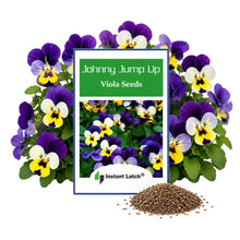 Load image into Gallery viewer, Johnny Jump Up Viola Seeds for Planting NON-GMO Heirloom Fresh Flower Seeds