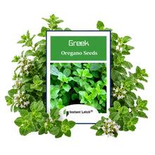 Load image into Gallery viewer, Greek Oregano Seeds for Planting NON-GMO Heirloom Fresh Garden Seeds