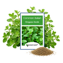 Load image into Gallery viewer, Common Italian Oregano Seeds for Planting NON-GMO Heirloom Fresh Garden Seeds