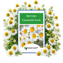 Load image into Gallery viewer, German Chamomile Seeds for Planting NON-GMO Heirloom Fresh Garden Seeds
