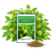 Load image into Gallery viewer, Tomatillo Seeds for Planting Grande Rio Verde NON-GMO Heirloom Fresh Garden Seeds
