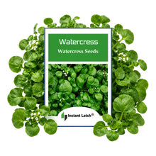 Load image into Gallery viewer, Watercress Cress Seeds for Planting NON-GMO Heirloom Fresh Garden Seeds