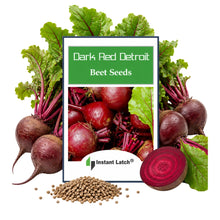 Load image into Gallery viewer, Dark Red Detroit Beet Seeds for Planting NON-GMO Fresh Garden Seeds