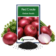 Load image into Gallery viewer, Red Creole Onion Seeds for Planting NON-GMO Onion Seeds Fresh Heirloom Garden Seeds