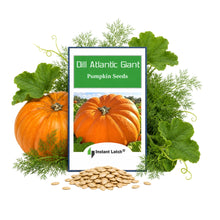 Load image into Gallery viewer, Dills Atlantic Giant Pumpkin Seeds for Planting Non GMO Heirloom Seeds Fresh Garden Seed