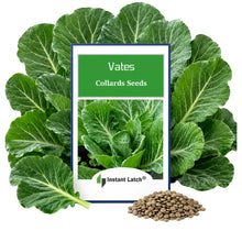 Load image into Gallery viewer, Vates Collards Seeds for Planting  NON-GMO Fresh Garden Seeds