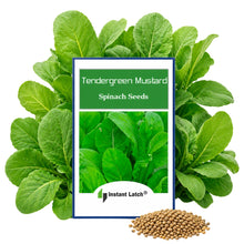 Load image into Gallery viewer, TenderGreen Mustard Spinach Seeds for Planting NON-GMO Fresh Garden Seeds