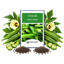 Load image into Gallery viewer, Emerald Okra Seeds | NON-GMO | Heirloom | Fresh Garden Seeds