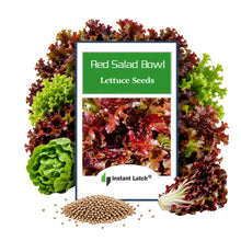 Load image into Gallery viewer, Red Salad Bowl Lettuce Seeds | NON-GMO | Heirloom | Fresh Garden Seeds