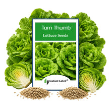 Load image into Gallery viewer, Tom Thumb Lettuce Seeds for Planting NON-GMO Heirloom Fresh Garden Seeds