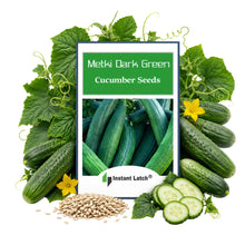 Load image into Gallery viewer, Metki Dark Green Armenian Cucumber Seeds | NON-GMO | Heirloom Fresh Garden Seeds