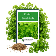 Load image into Gallery viewer, Curled Chervil Seeds | NON-GMO | Heirloom | Fresh Garden Seeds