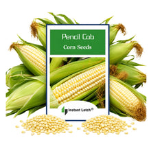 Load image into Gallery viewer, Pencil Cob Corn Seeds for Planting Heirloom Fresh Garden Seeds