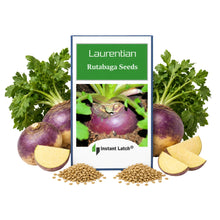 Load image into Gallery viewer, Rutabaga Seeds | Laurentian | NON-GMO | Heirloom | Fresh Garden Seeds