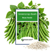 Load image into Gallery viewer, Greencrop Bush Bean Seeds for Planting NON-GMO Heirloom Fresh Garden Seeds