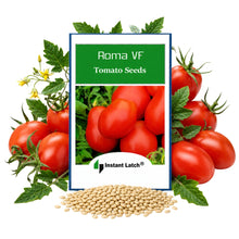 Load image into Gallery viewer, Roma VF Tomato Seeds for Planting NON-GMO Heirloom Fresh Vegetable Seeds