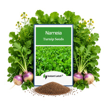 Load image into Gallery viewer, Namenia Turnip Seeds | NON_GMO | Heirloom | Fresh Garden Seeds