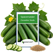 Load image into Gallery viewer, Space Master Cucumber Seeds for Planting NON-GMO Fresh Garden Seeds