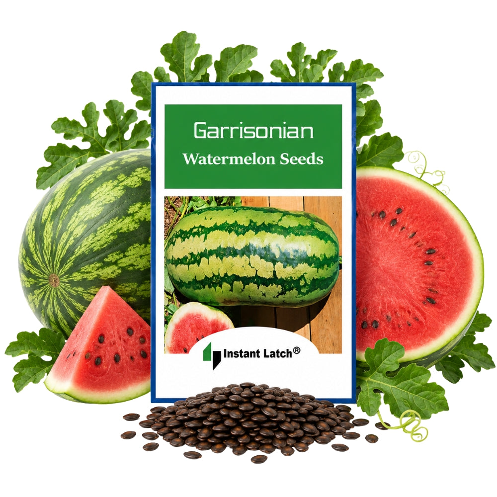 where to buy watermelon seeds for planting Garrisonian Watermelon Seeds | NON-GMO | Heirloom