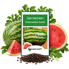 Load image into Gallery viewer, Garrisonian Watermelon Seeds | NON-GMO | Heirloom | Fresh Garden Seeds
