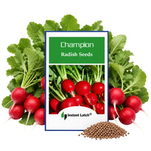 Load image into Gallery viewer, Champion Radish Seeds | NON-GMO | Instant Latch Fresh Garden Seeds