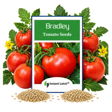 Load image into Gallery viewer, Bradley Tomato Seeds for Planting NON-GMO Tomato Seeds Fresh Heirloom Vegetable Seeds