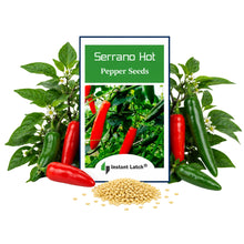 Load image into Gallery viewer, Serrano Hot Pepper Seeds | NON-GMO | Heirloom | Fresh Garden Seeds
