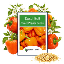 Load image into Gallery viewer, Coral Bell Sweet Pepper Seeds for Planting NON-GMO Heirloom Fresh Garden Seeds