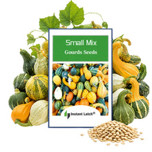 Load image into Gallery viewer, Small Mix Gourds Seeds for Planting NON-GMO Heirloom Fresh Garden Seeds