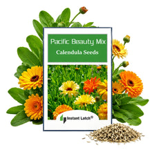 Load image into Gallery viewer, Calendula Seeds for Planting Pacific Beauty Mix Heirloom Fresh Flower Seeds