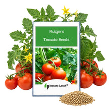 Load image into Gallery viewer, Rutgers Tomato Seeds for Planting Instant Latch Fresh Garden Seeds