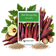 Load image into Gallery viewer, Red Burgundy Okra Seeds for Planting NON-GMO Heirloom Fresh Garden Seeds