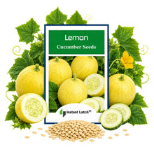 Load image into Gallery viewer, 50 Lemon Cucumber Seeds for Planting NON-GMO Heirloom Fresh Garden Seeds