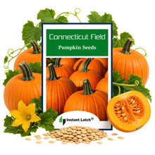 Load image into Gallery viewer, Connecticut Field Pumpkin Seeds | NON-GMO | Heirloom | Fresh Garden Seeds