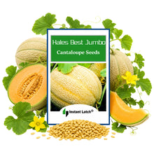 Load image into Gallery viewer, Hales Best Jumbo Cantaloupe Seeds | NON-GMO | Instant Latch Fresh Garden Seeds