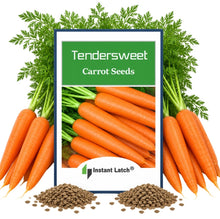Load image into Gallery viewer, Tendersweet Carrot Seeds for Planting NON-GMO Carrot Seeds Fresh Heirloom Garden Seeds