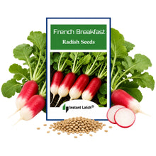 Load image into Gallery viewer, French Breakfast Radish Seeds | NON-GMO | Instant Latch Fresh Garden Seeds