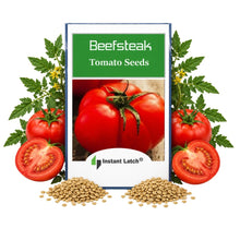 Load image into Gallery viewer, Beefsteak Tomato Seeds for Planting NON-GMO Instant Latch Fresh Garden Seeds