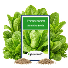 Load image into Gallery viewer, Parris Island Romaine Seeds for planting NON-GMO Instant Latch Fresh Garden Seeds