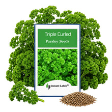 Load image into Gallery viewer, Triple Curled Parsley for Planting NON-GMO Fresh Garden Seeds