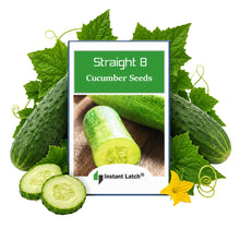Load image into Gallery viewer, Straight Eight Cucumber Seeds for Planting NON-GMO Instant Latch Fresh Garden Seeds